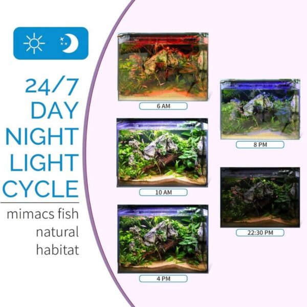 Aquarium showing different lighting from 6 AM to 10:30 PM with natural fish habitat