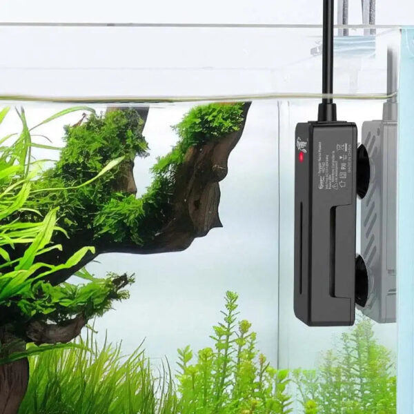 Magnetic aquarium algae scraper cleaning tank glass with green plants