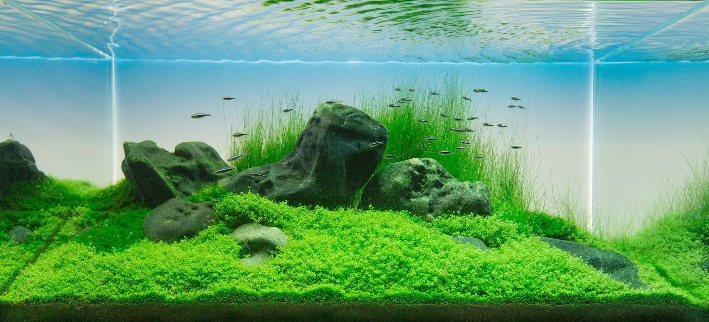 Aquaforest Lab Supplements