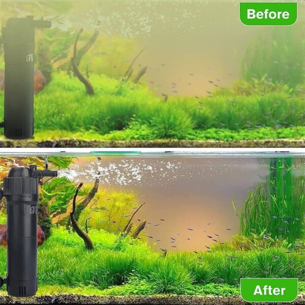 Comparison of aquarium water clarity before and after using a water filter