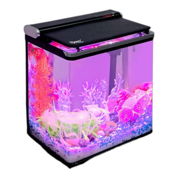 Small modern aquarium with pink and purple LED lighting and colorful coral decorations