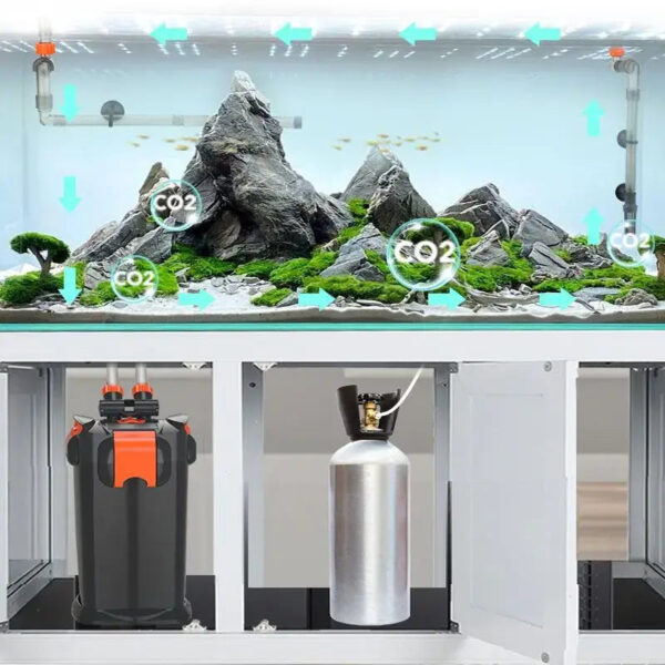 Aquarium with rocky aquascape and CO2 injection system illustrating gas flow