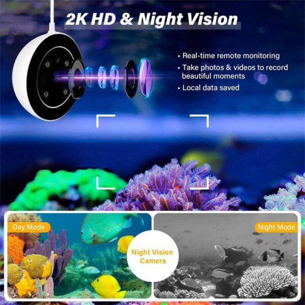 Security camera with 2K HD and night vision showing day and night underwater scenes