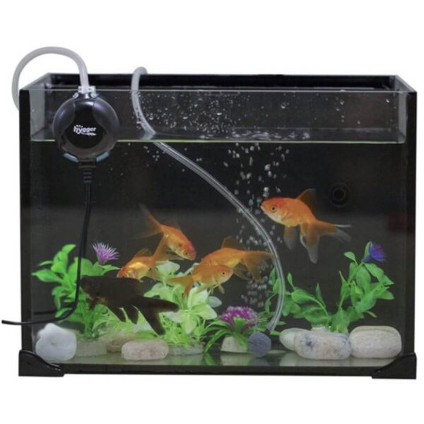 Aquarium with goldfish, green plants, rocks, and air pump bubbling water