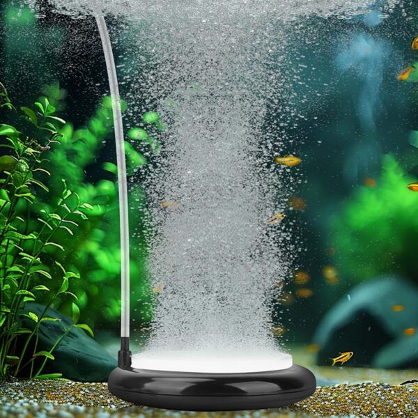 Aquarium air stone diffuser releasing bubbles underwater with fish and plants