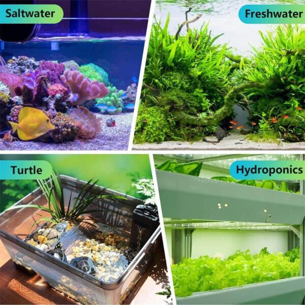 Four images showing saltwater aquarium, freshwater aquarium, turtle habitat, and hydroponic plants